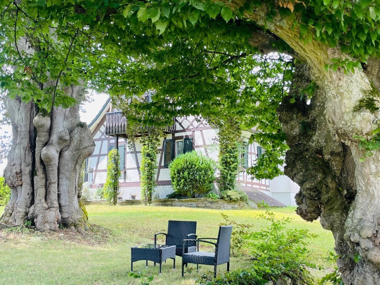 Appartement Villa Seeliebe Tägerwilen Exterior foto